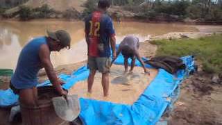 Minería aurífera en Madre de Dios 2015 [upl. by Hairej688]