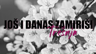 Gazde  Još i danas zamiriši trešnja Official lyric video [upl. by Itirahc]