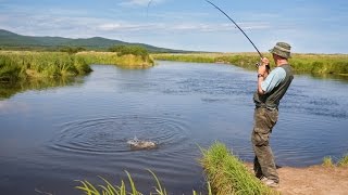 Рекордная рыбалка в Краснодарском крае Выселковский район река Гаджировка [upl. by Norbie]