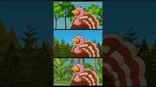 A Turkey Is A Funny Bird  Thanksgiving Song Lyrics  Thanksgiving Childrens Song  Happy Bees TV [upl. by Niryt79]