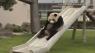 Pandas on the slide 滑り台を滑るパンダ18連発！ [upl. by Bette586]