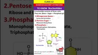 nucleosidebiomoleculespyq [upl. by Vitkun]