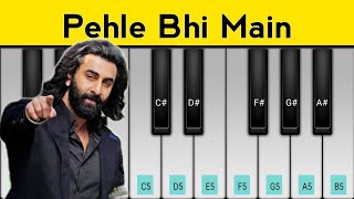 Pehle Bhi Main Piano Tutorial  Animal  Ranbir Kapoor [upl. by Cherish]