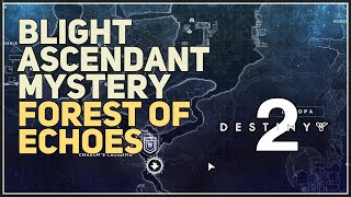 Blight Ascendant Mystery Forest of Echoes Destiny 2 [upl. by Sancho]