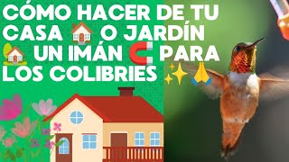 Cómo Hacer De Tu Casa 🏠 o Jardín🏡 un imán 🧲 para los colibries ✨🙏 aves jardin colibrí [upl. by Nancy]