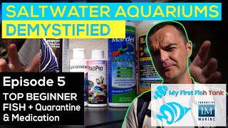 Saltwater Aquariums Demystified Ep 5 TOP BEGINNER FISH  Quarantining and Medicating Livestock [upl. by Hairam657]