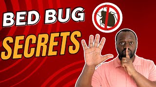 5 SECRETS to Getting Rid of Bed Bugs [upl. by Navap607]