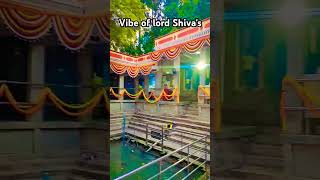 shiva malleswaram temlpe kaleshwaram ytshorts shorts trending music love divine [upl. by Adnirim]