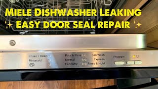 ✨ Miele Dishwasher Leaking — Easy Door Seal Repair ✨ [upl. by Hartwell912]