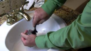 Delta Faucet Handle Cleaning [upl. by Olinad373]