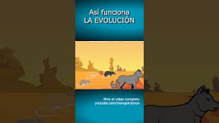 Así funciona LA EVOLUCIÓN🐒🧬shorts biologia ciencia [upl. by Sucrad]