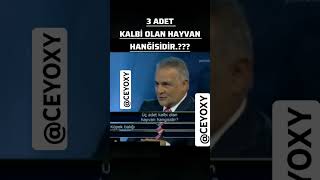 3 adet kalbi olan hayvan [upl. by Gaye457]