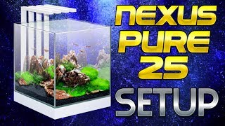 CIANO NEXUS PURE 25 TANK SETUP [upl. by Ert]