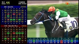 2011 The Hong Kong Racehorse Owners Association Trophy  Sweet Orange 甜橙  馬偉昌 [upl. by Aicilehp]