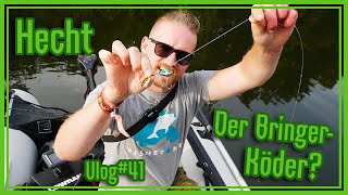 Ordentlich Hecht Frequenz im Spätsommer  Bootstour mit Martin I Vlog 41 [upl. by Briscoe]