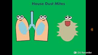 House dust mite Dermatophagoides حساسية الصدر [upl. by Nnylassej864]