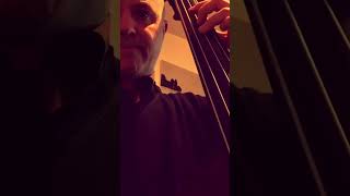 Pino Palladino line on Double Bass [upl. by Fonsie]