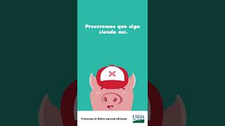 Frenemos la fiebre porcina africana Stop African Swine Fever [upl. by Nitsrik118]