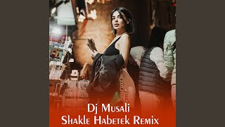 Shakle Habetek Remix [upl. by Ivel840]