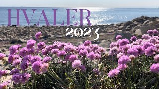 Hvaler  Norway 2023 [upl. by Caralie]