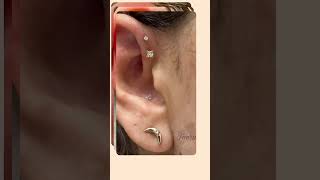 Forward Helix Piercing Master Pierce [upl. by Auahsoj]