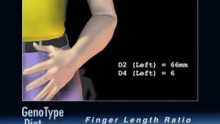 The GenoType Diet Measuring Finger Length Ratios [upl. by Sanyu582]