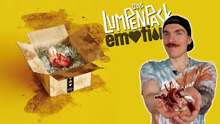 Meine Meinung zu emotions von Das Lumpenpack  Album Review [upl. by Faria876]