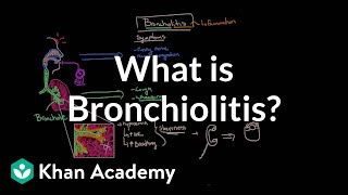 What is bronchiolitis  Respiratory system diseases  NCLEXRN  Khan Academy [upl. by Adlesirhc]