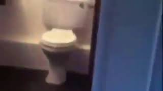 Exploding toilet meme FUNNY [upl. by Ayar]