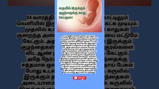 24 வாரத்தில் வயிற்றில் உள்ள குழந்தைக்கு காது கேட்குமா [upl. by Cad553]