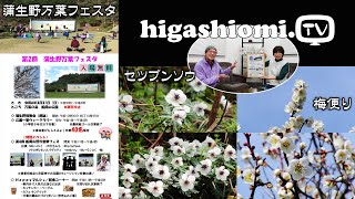 higashiomiTV  251☆「第２回 蒲生野万葉フェスタ」を紹介✨そして「春の便り」（セツブンソウ・梅の花）もお届けします！ [upl. by Etam]