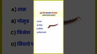 गोम कानात गेल्यास कानात काय टाकावे   GK Questions and Answers  shorts [upl. by Nnaylime132]