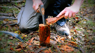 How to find and make Fatwood fire sticks amp kindling wood for firestarting [upl. by Feola]