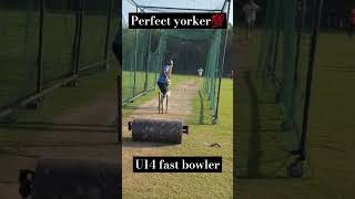 Unplayable Yorker in Practice brettlee cricket [upl. by Notsuoh260]