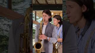 La Paloma  Julio Iglesias  Billy Vaughn  Mireille Mathieu cover Sax Element [upl. by Atel]