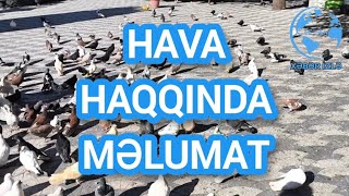 HAVA haqqında məlumat Xeberizle [upl. by Lewis]