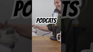 Mascot mode initiated cat podcast mascot kysopodcast [upl. by Virgina]