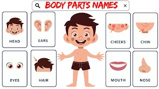 Learn Body Parts Song  3D Animation Nursery Rhyme for Kids [upl. by Irroc968]