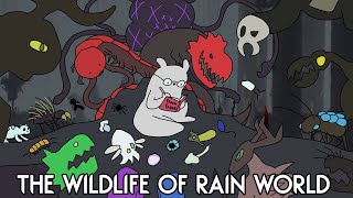 Cataloguing Rain Worlds Wildlife  An Exhaustive Analysis [upl. by Pitt431]