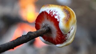 10 BEST Campfire snacks Camping foods and Campfire Cooking [upl. by Asirem796]