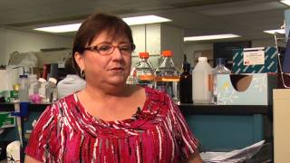 UT Veterinary Virologist Discusses Canine Distemper Virus [upl. by Caritta205]