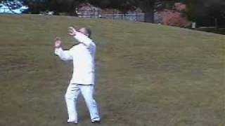 Wu Hao Tai Chi  Master Liu Jishun  武式太極拳 [upl. by Neeliak]