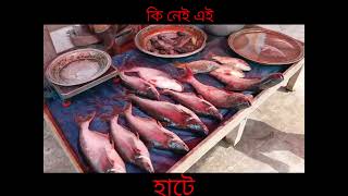 ঐতিহ্যবাহী তালগাছির হাট village market হাটবাজার nomanhapu [upl. by Monetta]