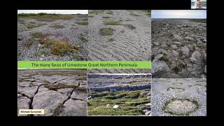 Limestone Barrens of the Great Northern Peninsula Newfoundland Canada – a biodiversity hotspot [upl. by Erodavlas]