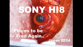 Sony Hi8  Japan 2024  PLACES TO BE  FRED AGAIN [upl. by Yelik]