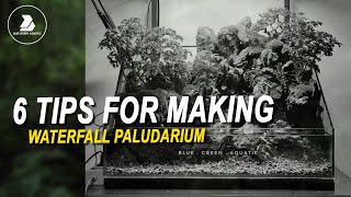 71  TIPS MEMBUAT PALUDARIUM  TUTORIAL [upl. by Blackmore]