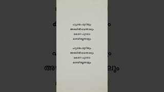 മകനേ …🌸 Hridayam Muriyum MovieVazha  Lyrics trendingsongs newsong shorts [upl. by Iyre]