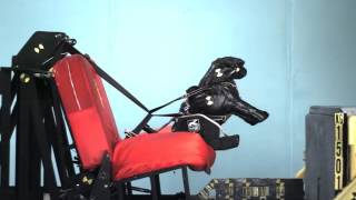 Kurgo Impact Dog Harness — Crashtest [upl. by Schlessinger]