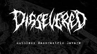 Dissevered  “Ruthless Nasogastric Gavage Scaphism 4way split 2017  New Standard Elite [upl. by Dulcia417]