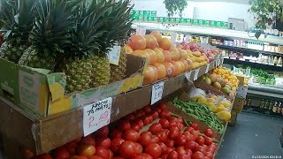 Inside The Farmers Market Store Orlando Florida  Check It Out [upl. by Suedaht]